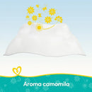 Kit com 12 Pacotes de  Lenços Umedecidos Pampers Aroma de Camomila de 48 Unidades