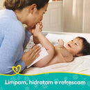 Kit com 12 Pacotes de  Lenços Umedecidos Pampers Aroma de Camomila de 48 Unidades